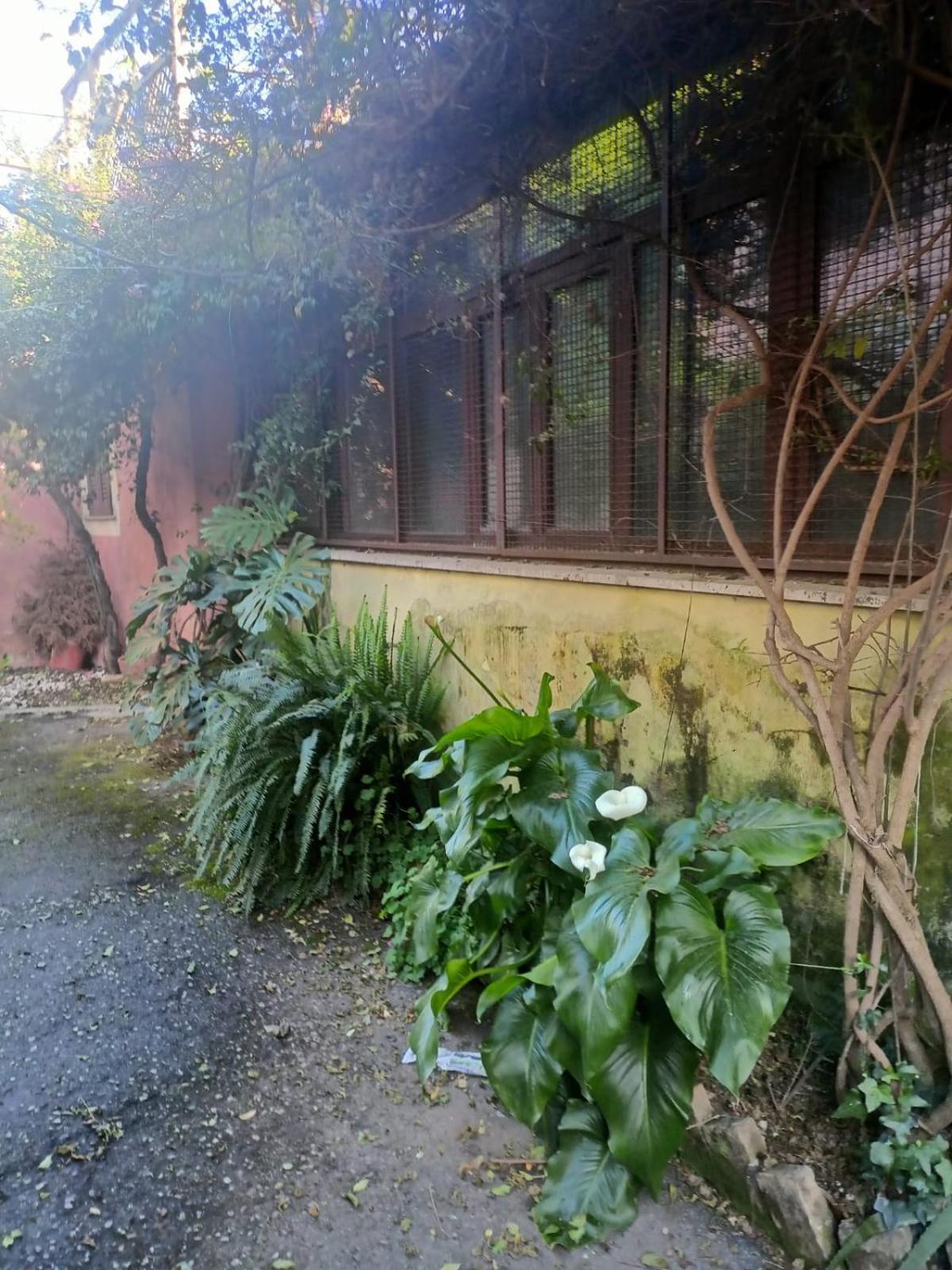 Casa de Férias Terrazza Quintili - A Un Passo Dal Centro Di